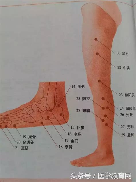 人身穴位圖|人體穴位圖